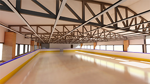 Специализированная хоккейная арена